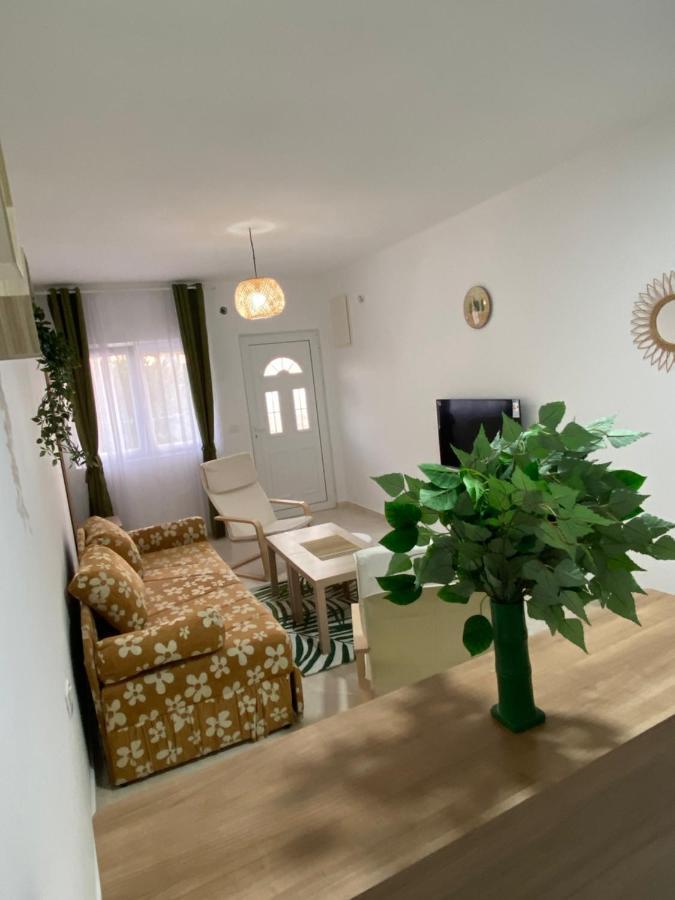 Kotor Apartman Green Sailor Εξωτερικό φωτογραφία